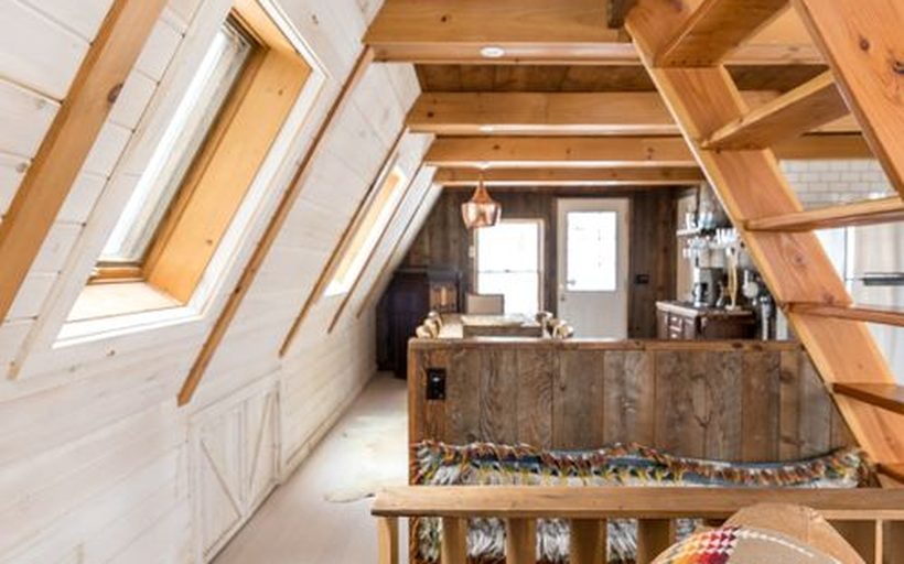 Attic Rat Control & Cleanup in Shreveport, LA in Shreveport